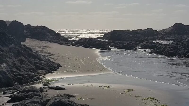 Seaview Beach Approach - Seaview, WA