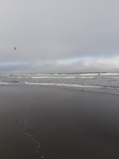 Seaview Beach Approach - Seaview, WA