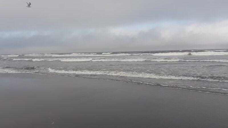Seaview Beach Approach - Seaview, WA