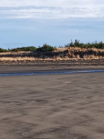 Seaview Beach Approach - Seaview, WA