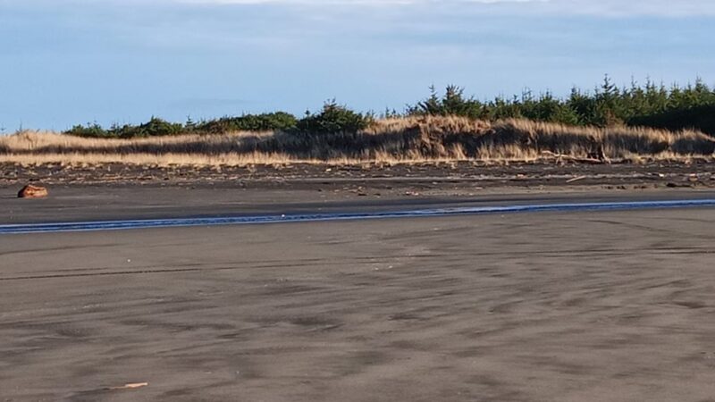 Seaview Beach Approach - Seaview, WA