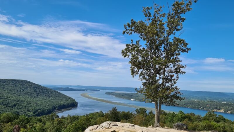 Weathington Park - Section, AL