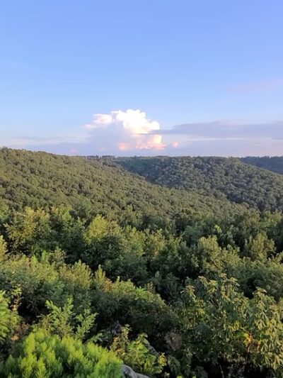 Weathington Park - Section, AL