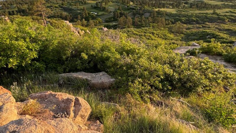 Daniels Park - Sedalia, CO