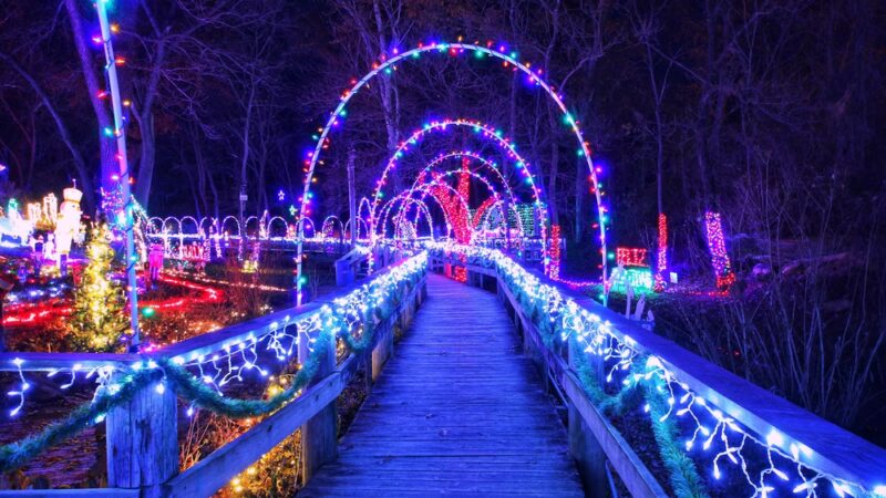 The Hollow - Sedan, KS