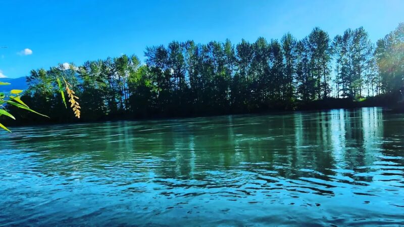 Cumberland Creek Conservation Area - Sedro-Woolley, WA