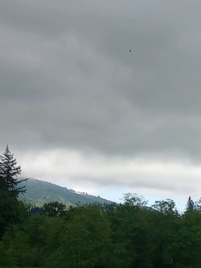 Northern State Recreation Area - Sedro-Woolley, WA