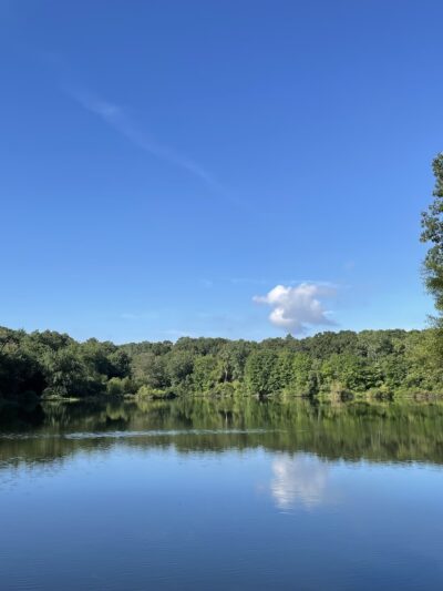 Gammino Pond Preserve - Seekonk, MA