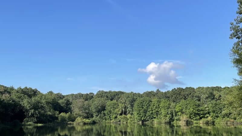 Gammino Pond Preserve - Seekonk, MA