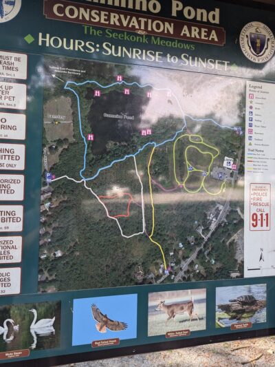 Gammino Pond Preserve - Seekonk, MA
