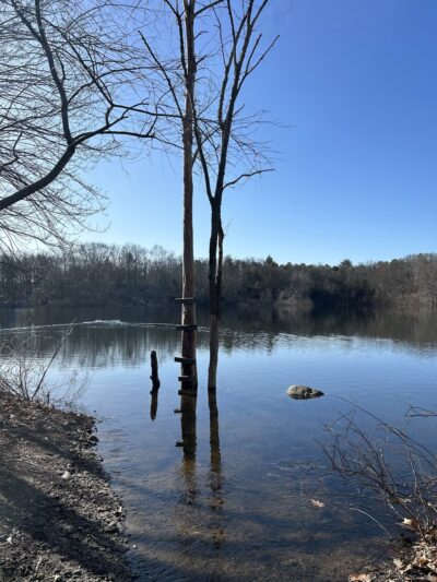 Gammino Pond Preserve - Seekonk, MA