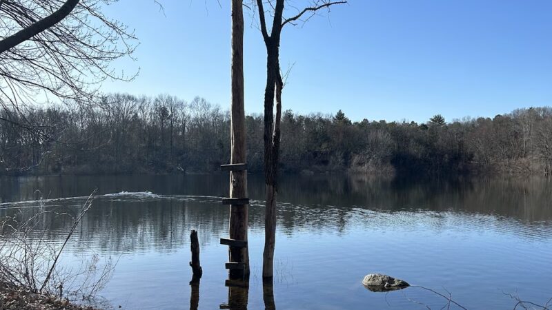 Gammino Pond Preserve - Seekonk, MA