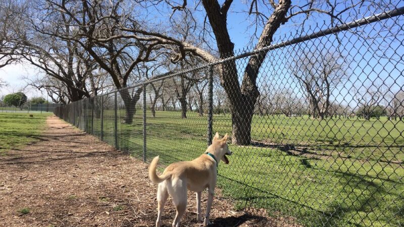 Barky Park - Seguin, TX