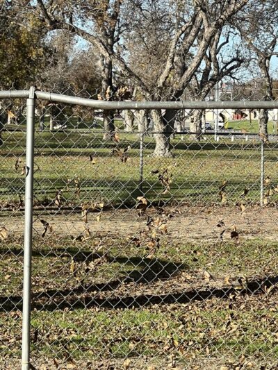 Barky Park - Seguin, TX