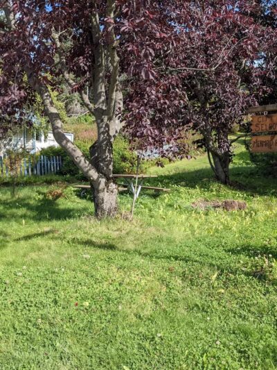 Mermaid Park - Seldovia, AK