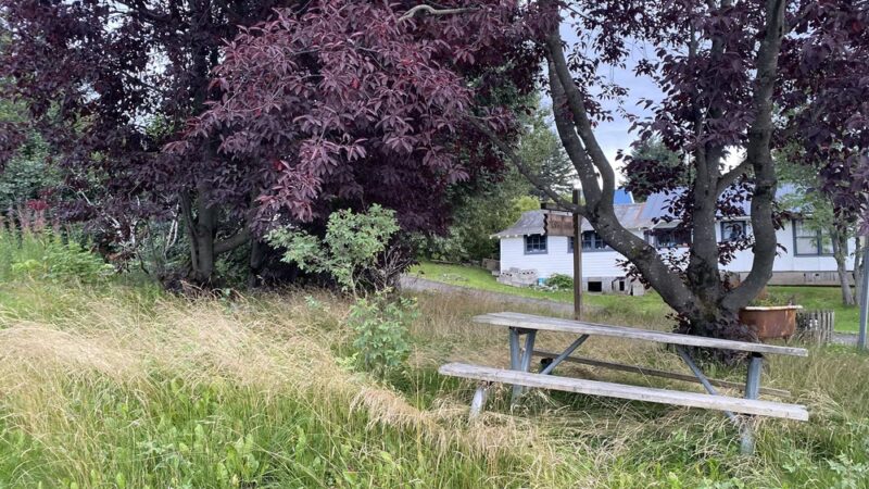 Mermaid Park - Seldovia, AK