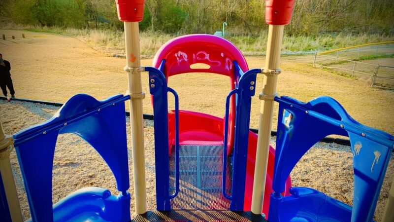 Brack Wilson Park - Selma, NC