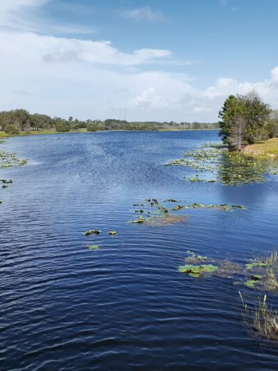Walsingham Park - Seminole, FL