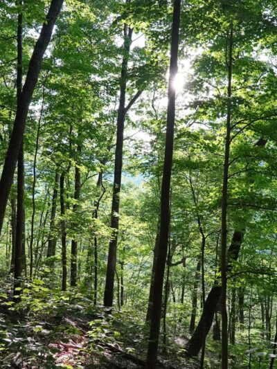 Seneca Rocks Trailhead - Seneca Rocks, WV