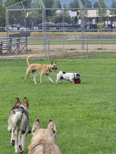 Sequim Dog Park - Sequim, WA