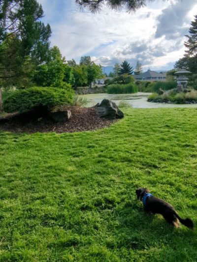 Sequim Dog Park - Sequim, WA