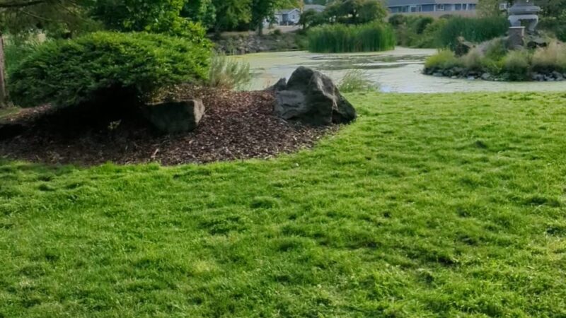 Sequim Dog Park - Sequim, WA