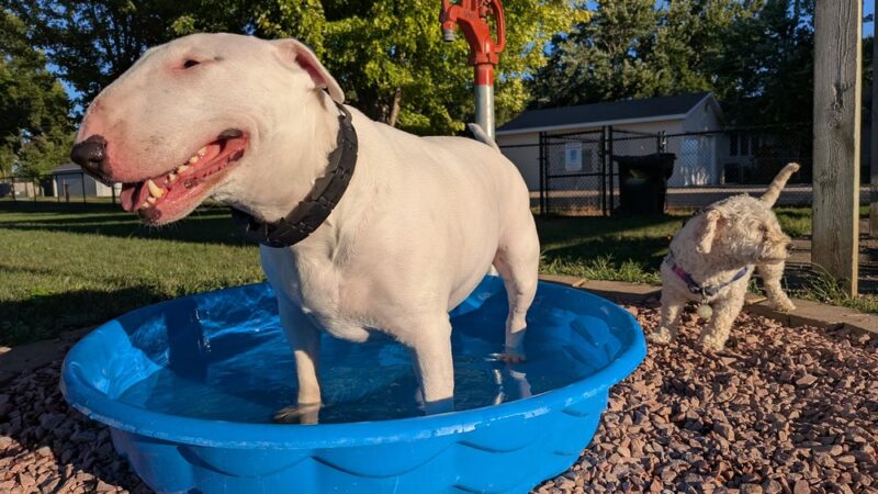 Sergeant Bluff Dog Park - Sergeant Bluff, IA