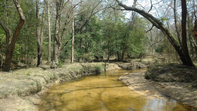 Severn Run Natural Environment Area - Severn, MD