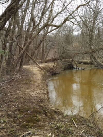 Severn Run Natural Environment Area - Severn, MD