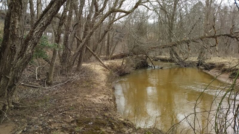 Severn Run Natural Environment Area - Severn, MD