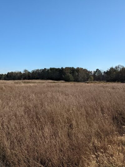 Severn Run Natural Environment Area - Severn, MD