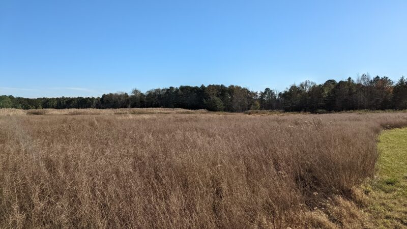 Severn Run Natural Environment Area - Severn, MD
