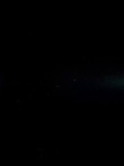 All For The Pet - Severna Park, MD