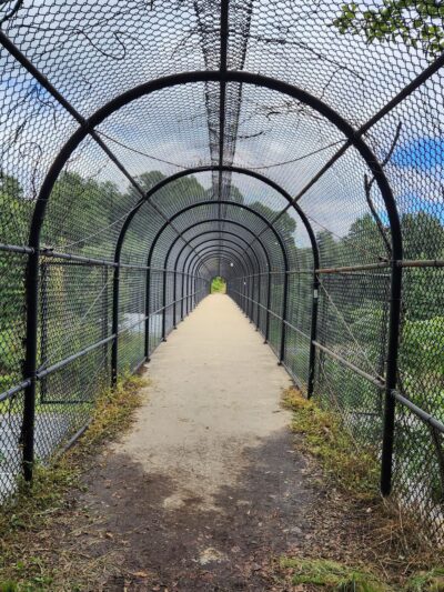 Baltimore and Annapolis Trail Park - Severna Park, MD
