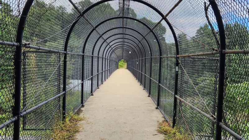 Baltimore and Annapolis Trail Park - Severna Park, MD
