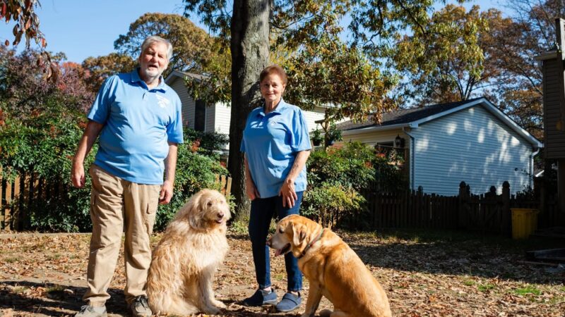 Happy Homes Dog Training - Severna Park, MD