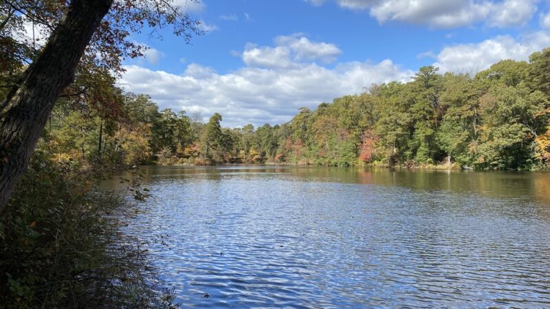 Lake Waterford Park - Severna Park, MD