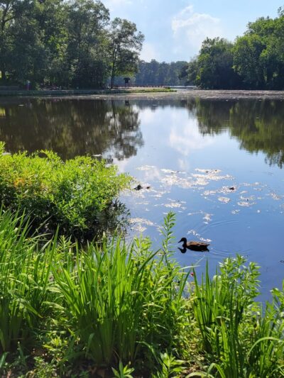 Lake Waterford Park - Severna Park, MD