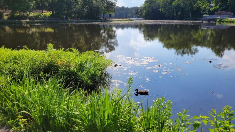 Lake Waterford Park - Severna Park, MD