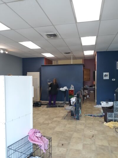 Lisa's Pet Grooming - Severna Park, MD