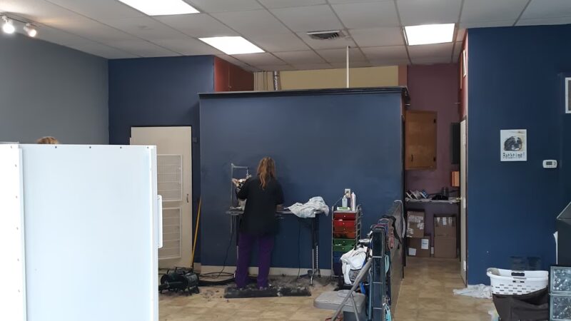 Lisa's Pet Grooming - Severna Park, MD