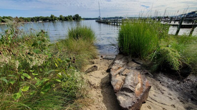 MBCA Beach (Residents Only) - Severna Park, MD