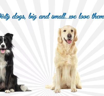 Mutt & Joe - Severna Park, MD