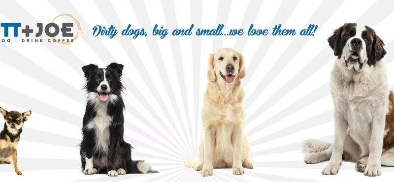 Mutt & Joe - Severna Park, MD