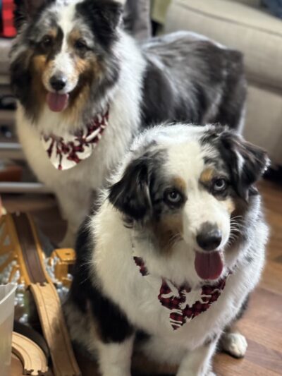 Mutt & Joe - Severna Park, MD