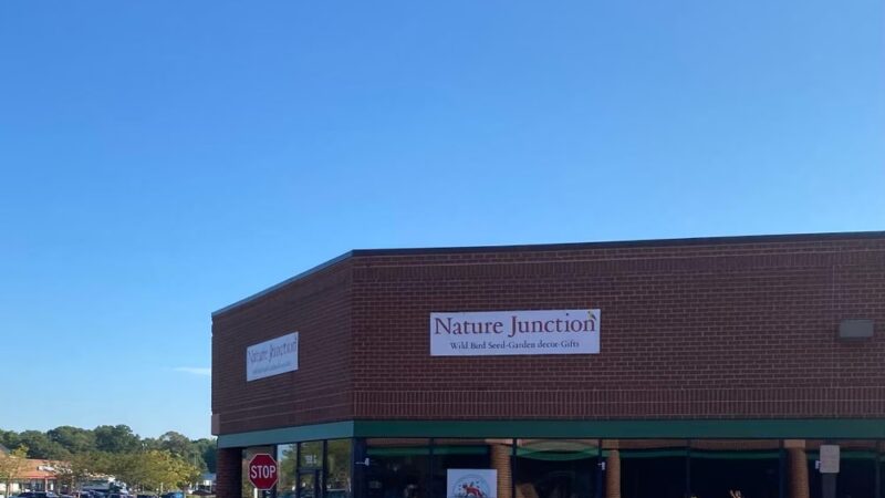 Nature Junction- Formerly Wild BIrd Center - Severna Park, MD