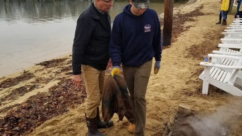 Olde Severna Park Community Beach - Severna Park, MD