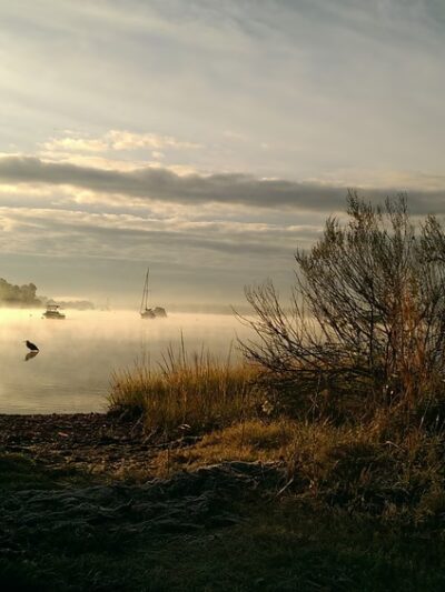 Olde Severna Park Community Beach - Severna Park, MD