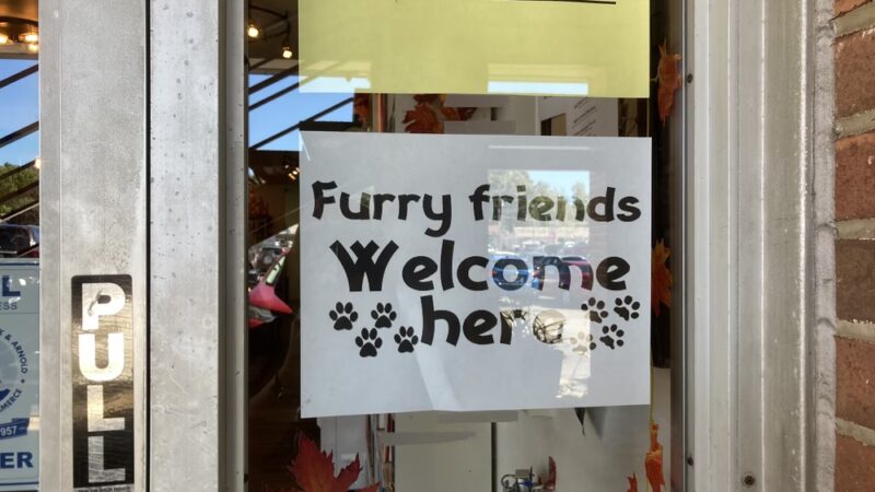 Park Books & LitCoLab Severna Park - Severna Park, MD