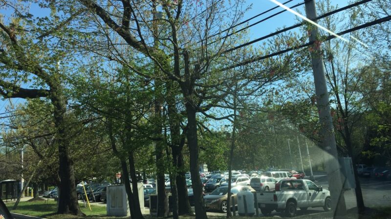 Severna Park Farmers Market - Severna Park, MD